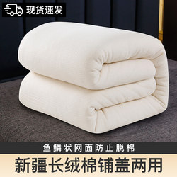 Winter Thickened Mattress Pad Soft Cushion Bed Mattress Quilt Student Dormitory Single Mattress Quilt Home Double Mattress