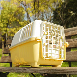 Portable Cat Carrier for Travel, Anti-Stress Airline Crate for Cats and Dogs, Pet Travel Crate for Outdoor Use