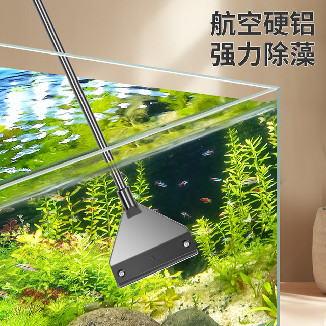 Image showcasing Fish tank algae scraper small non-damaging glass stainless steel algae ...