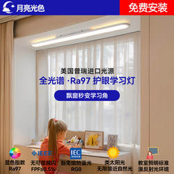 Oval Ultra-Thin Bay Window Led Ceiling Light, Study Room Eye-Protection Desk Lamp, Balcony Linear Strip Dimmable Smart Light