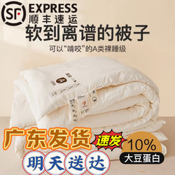 Quilt   Air-Conditioned Quilt for Student Single Accommodation, Cotton Quilt for Double Bed, Warm Winter Quilt, Thickened Quilt Core, Spring and Autumn Quilt