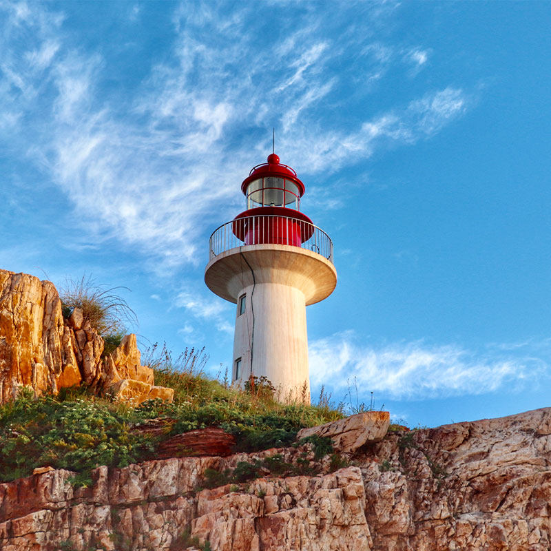 烟台2天1晚跟团游长岛万鸟岛九丈崖林海黄渤海分界线小包团纯玩
