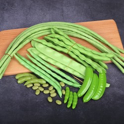 Simulated Bean Model Edamame Lentil Long Bean Vegetable Food Dish Photography Props Children's Toys