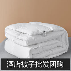 Hotel Quilt, Winter Quilt, Feather Velvet Thickened Warm Bedding, Single and Double Dormitory Quilt Core, Suitable for All Seasons