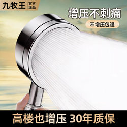 304 Stainless Steel Pressurized Shower Head Hose Set for Home Bathroom Shower Water Heater Pressurized Bath Heater