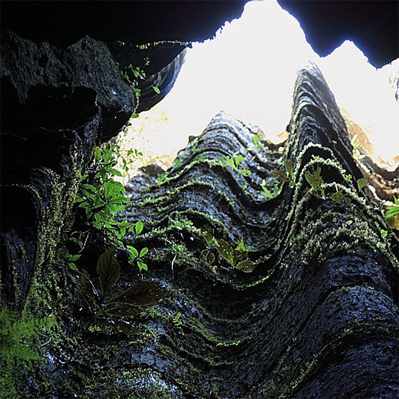 【轻奢私享】恩施5天4晚纯玩2-8人小包团.2人起随时发班