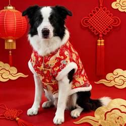 Dog Clothes for Autumn and Winter, Warm New Year Tang Suit with Button Closure, Suitable for Border Collies, Samoyeds, Golden Retrievers, Large Dog Pet Cotton Coat