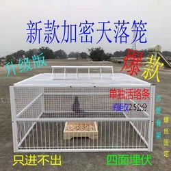 Extra-Large Pigeon Cage with a Special Door for Easy Entry and Exit, Designed for Home Use and Breeding, Featuring an Automatic Door-Opening Mechanism