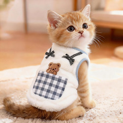 Cat Clothes Pocket Bear Cotton Coat Autumn and Winter Cute Warm Golden Tabby Ragdoll British Shorthair Bichon Anti-Shedding Hoodie