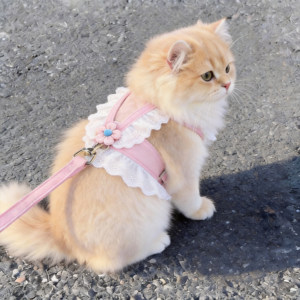 
Cat leash, cute flower JK skirt, lace harness, adjustable anti-breakaway dog leash for going out