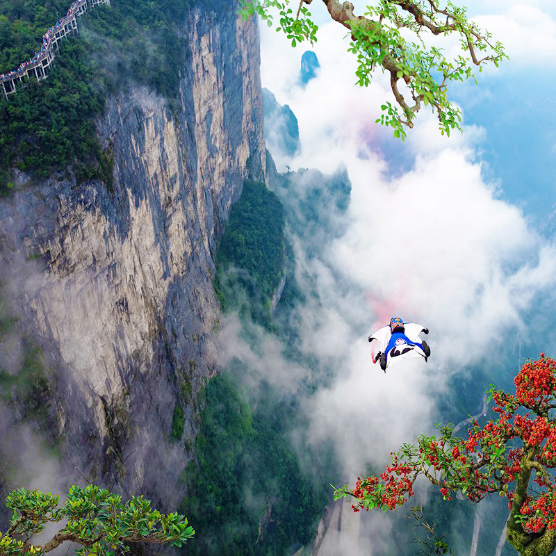 【16人小团购物退全款】张家界国家森林公园武陵源风景区一日游