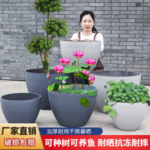 
Thickened imitation cement extra-large plastic resin flower pot lotus water lily pot large diameter ancient fish farming ecological tank