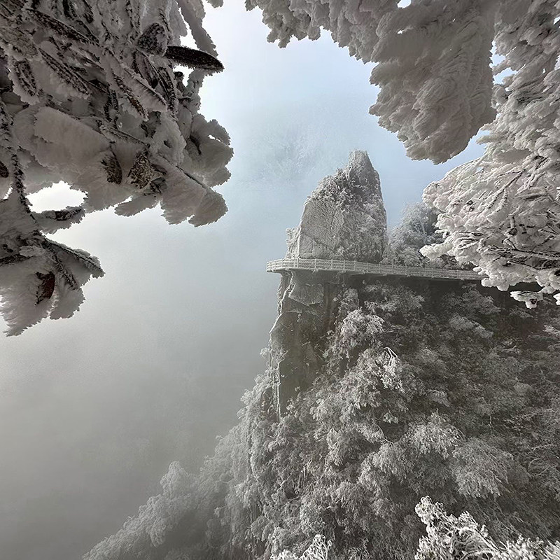 郴州莽山·五指峰景区+高椅岭旅游区+东江湖风景2日1晚私家团