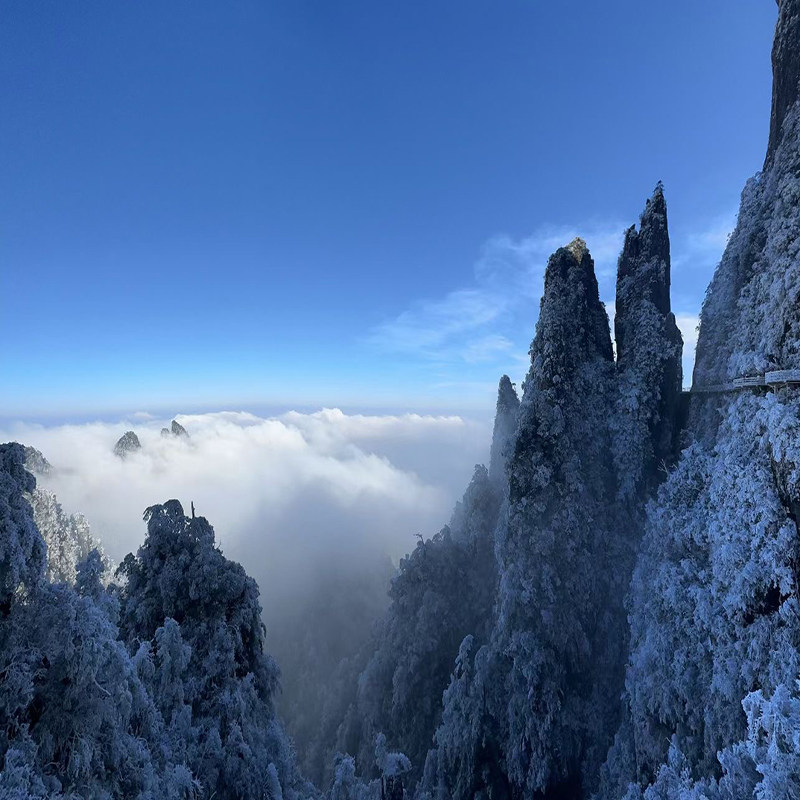 郴州旅游东江湖+高椅岭+五指峰+莽山国家森林温泉+3日2晚私家团