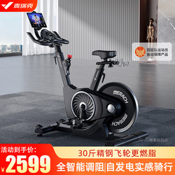 Merrick Spinning Bike Home Fitness Bike Magnetic Control Professional Weight Loss Exercise Equipment Gym Ultra-Quiet