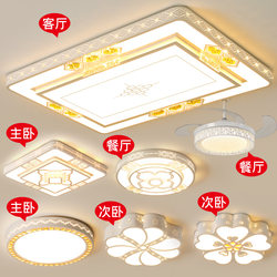 New Living Room Lamp Modern Simple Rectangular Ceiling Lamp Whole House Lighting Package Combination Hall Bedroom Lighting Set