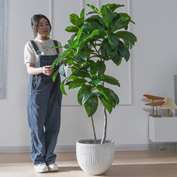 High-End Light Luxury Loquat Tree Artificial Green Plant Indoor Potted Landscaping Fake Tree Living Room Artificial Plant Decoration Ornament