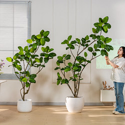 Large Bionic Green Plant, High-End Light Luxury Bengal Banyan Tree, Living Room Floor-Standing Ornament, Fake Green Plant Decoration, Simulated Indoor Decoration