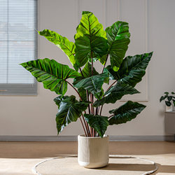 Large Artificial Green Plant Rainbow Taro Living Room Fake Tree Decorative Potted Plant Bionic Plant High-End Light Luxury Landscape Ornament