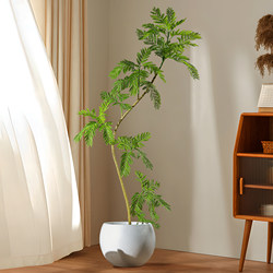 Jacaranda Artificial Green Plant Indoor Living Room Floor-Standing Fake Flower Tree High-End Light Luxury Bionic Plant Landscaping Decoration Ornament