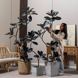 High-End Light Luxury Artificial Green Plant Black Rubber Tree Indoor Artificial Plant Fake Tree Large Living Room Decoration Landscaping