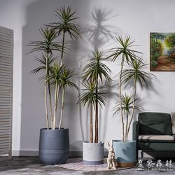 High-End Artificial Plant, Millennium Tree, Dragon's Blood Tree, Fake Tree, Indoor Living Room, Large Artificial Green Plant, Bonsai, Landscaping Decoration
