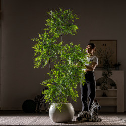 Artificial Nandina Bamboo Green Plant, High-End Luxury Floor-Standing Decoration for Living Room, Large Indoor Potted Plant, Biomimetic Decoration, Artificial Tree