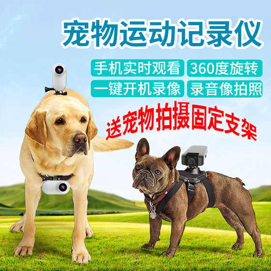 Pet recorder sports camera cat dog shooting perspective recording vlog video halter neck collar chest back camera monitor mobile phone remote animal photography camera