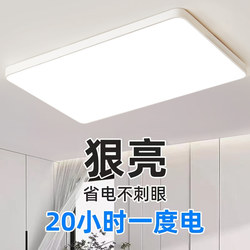 2025 New Led Ceiling Light for Room, Bedroom, Living Room, Hall, Modern Simple and Elegant Zhongshan Lighting Fixtures