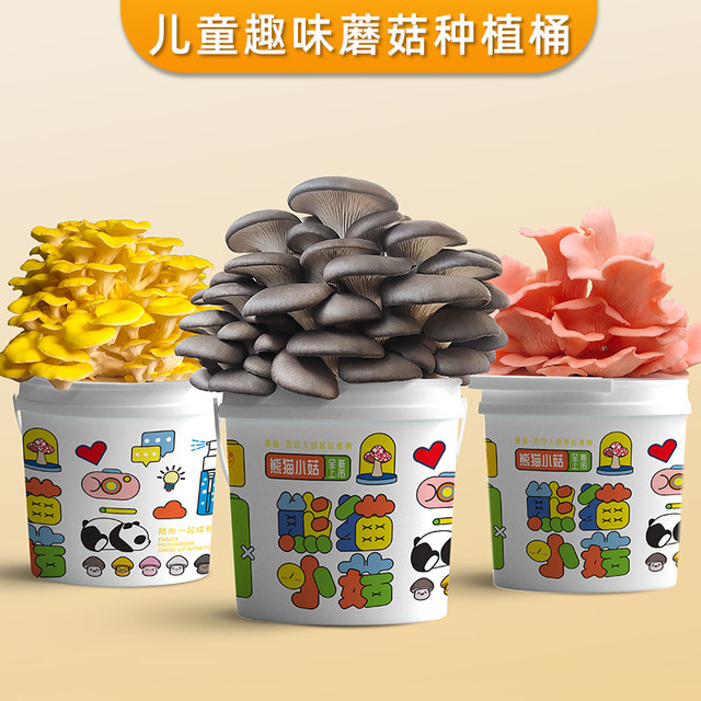 Mushroom potted planting bucket fun balcony children DIY oyster mushroom cultivation edible fungus package box stick family