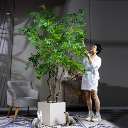 Giant High-End Light Luxury Artificial Elm Money Tree, Money Banyan Fake Tree, Green Plant Indoor Living Room Decoration Floor-Standing Ornament