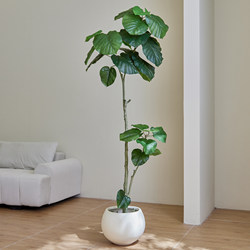 High-End Accessible Luxury Simulated Green Plants, Heart-Leaf Banyan Indoor Home Living Room Floor-Standing Ornaments, Classy Fake Plants