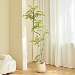 Simulated Green Plant Jacaranda High-End Light Luxury Potted Plant Bionic Plant Indoor Living Room Cream Style Decorative Ornament Fake Tree