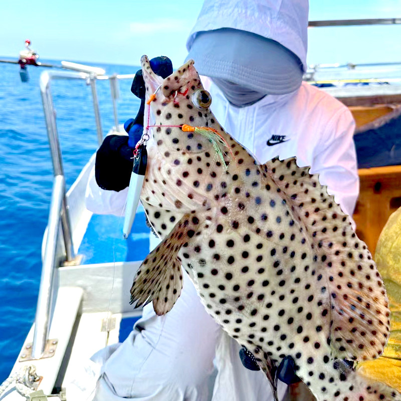 万宁大洲岛海钓游艇快艇出海浮潜深潜潜水水下拍照