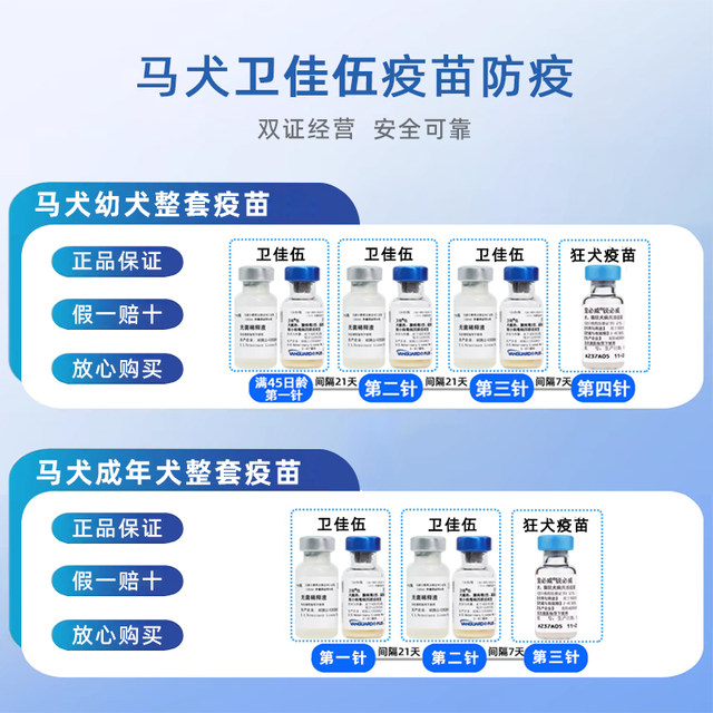 Horse dog vaccine, a set of horses and puppies vaccine imported Pfizer ...