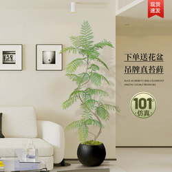 Jacaranda Simulated Green Plants Indoor Tv Cabinet Next to Large Floor-Standing Decorative Ornaments Living Room Accessible Luxury Fake Tree Potted Plants