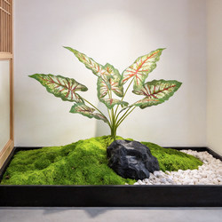 Artificial Green Plant Decoration, Small Grass Bunches, Turtle Leaf, Commercial Landscape Greening, Fake Flowers, Flower Arrangement Accessories, Fake Plants