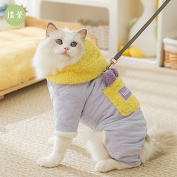 Cute Kitten Four-Legged Cotton Clothes, Four-Legged Autumn and Winter Anti-Shedding Ragdoll Cat Blue Cat Kitten Young Cat Clothing