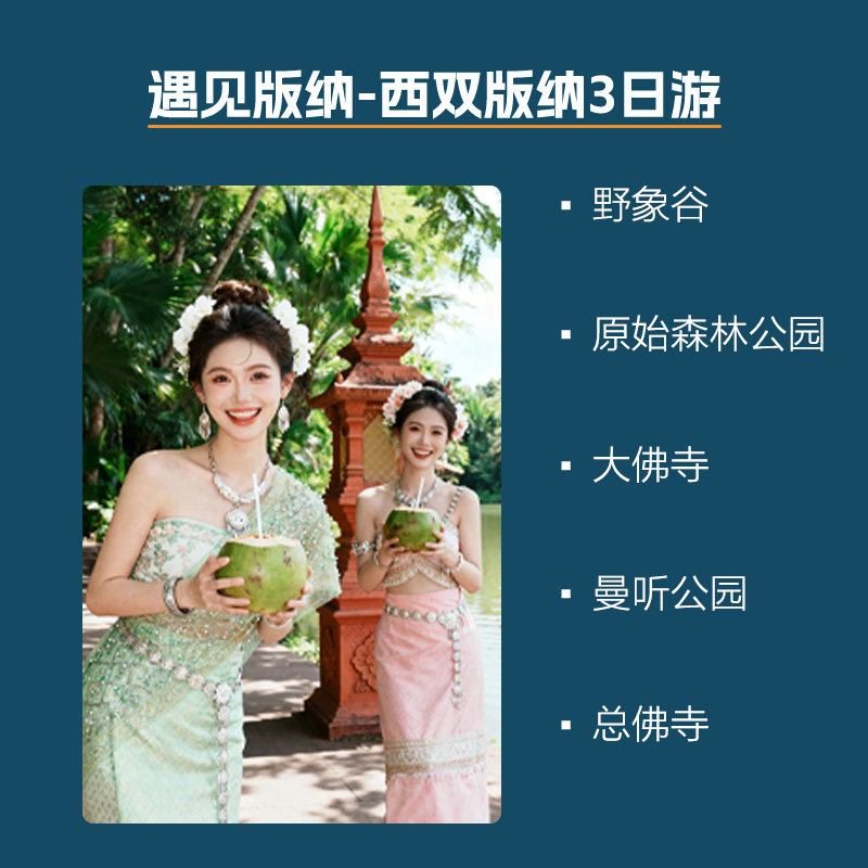 2-6人小团西双版纳3日游版纳野象谷曼听公园大佛寺森林公园3天2晚