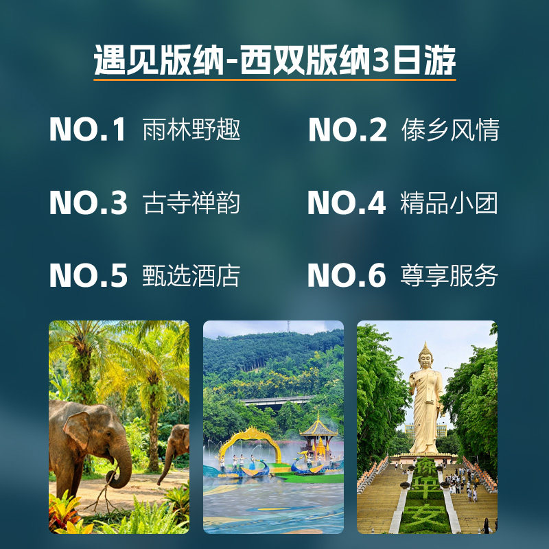 2-6人小团西双版纳3日游版纳野象谷曼听公园大佛寺森林公园3天2晚