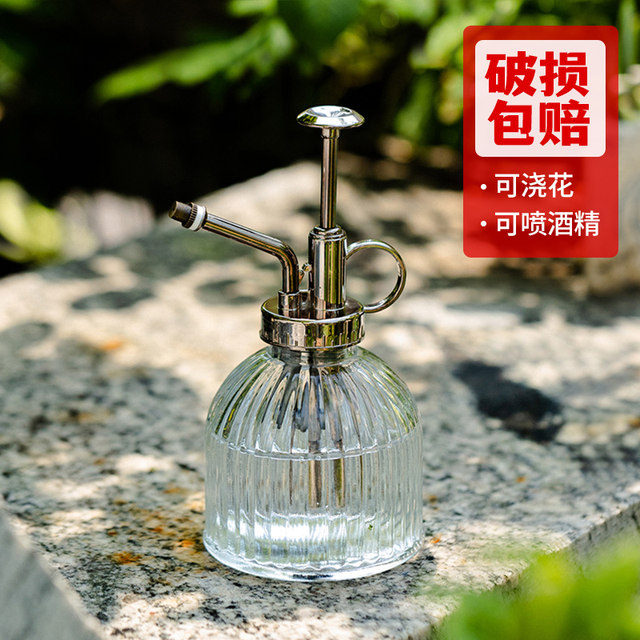 Watering can for watering flowers. Household small spray watering can. Small gardening air pressure type high-value retro glass small watering can.