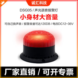 Dsg05 Sound and Light Voice Alarm Flashing Car Warning Strobe Signal Alarm Light Horn 220V24V12V