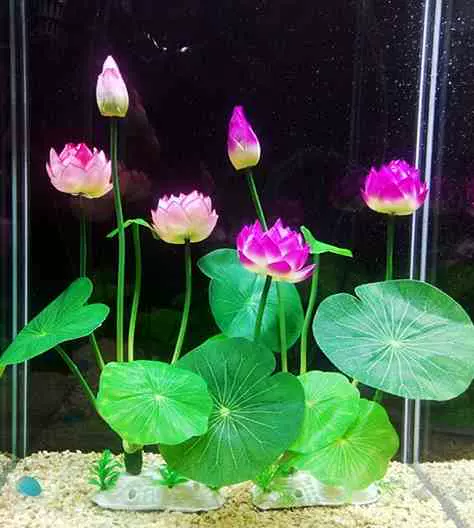 鱼缸里的装饰品水族馆花莲花防真浴缸假水草造景