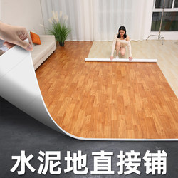 Carpet Mats for Bedroom and Living Room, Household Waterproof Floor Mats, Room Floor Mats, Large Area Full Coverage