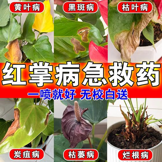 
Special fertilizer and nutrition solution for erythema yellow leaf disease