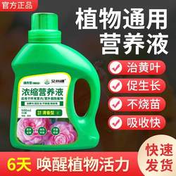 Plant nutrient solution universal green plant stiff seedling yellow leaf first aid soil culture hydroponic potted flower fertilizer liquid fertilizer