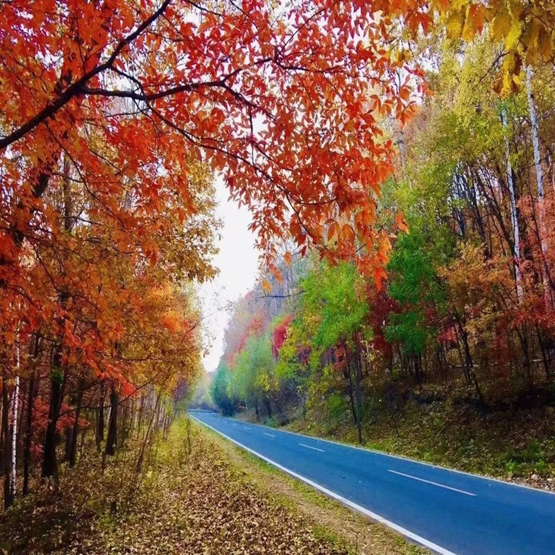 西安巴中汉中米仓山光雾山十八月潭黎坪留坝十八月潭包车游 汉中