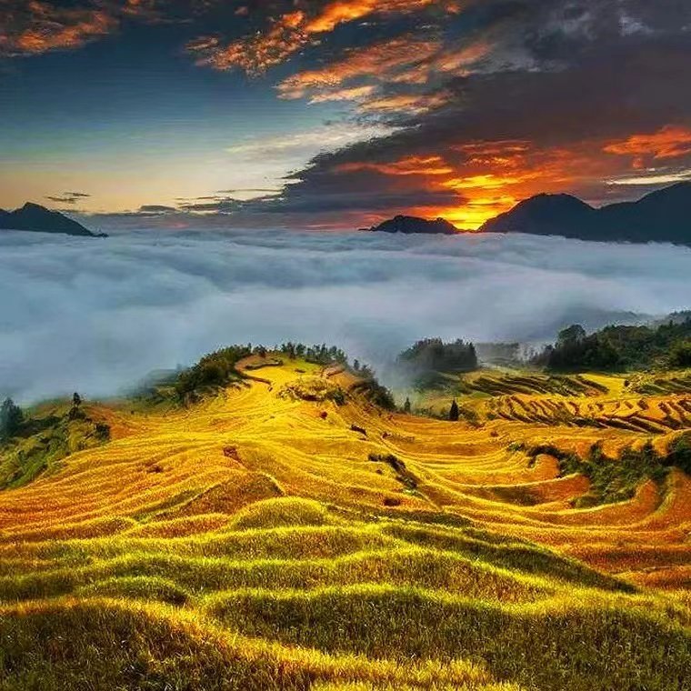 飞机往返桂林旅游6天5晚漓江游船阳朔遇龙河漂流六日跟团游住龙脊