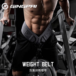 Pull-Up Weight Belt, Squat Waist Fitness Training, Horizontal Bar with Thickened Iron Chain, Gym Barbell Weight Plates