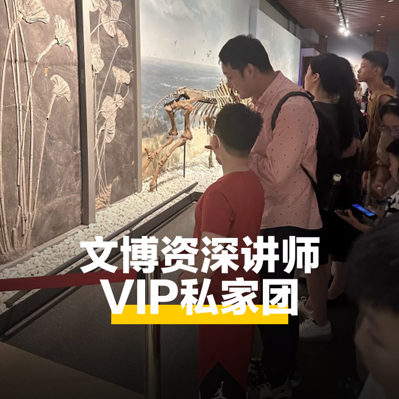 猩咖说®南京博物院2-3H大咖讲解亲子VIP小包团南京旅游